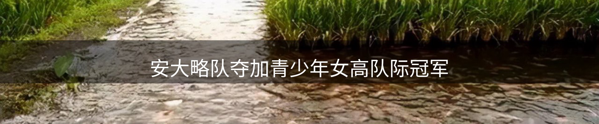 平台简报
