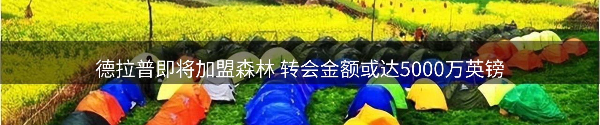 平台简报