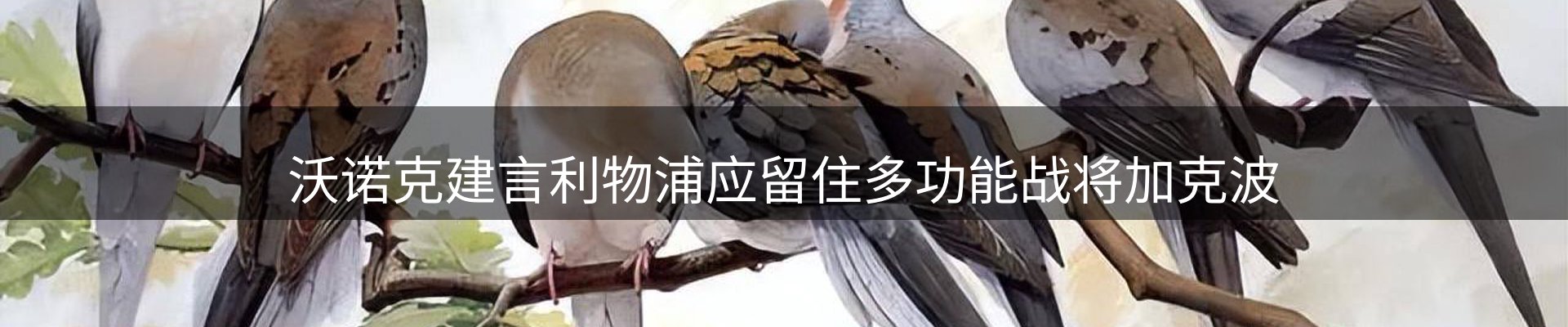 平台简报